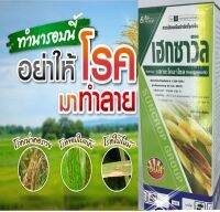 เฮกซาวิล -เฮกซะโคนาโซล  สูตร พิเศษ Ec  กำจัดป้องกัน โรคเมล็ดด่าง เมล็ดดำ เมล็ดลีบ ที่เกิดจากเชื้อรา