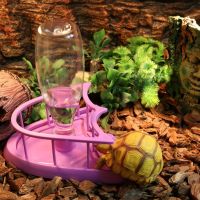 Water Feeders Waterer Tortoises Dispenser ขวดจานให้อาหารสำหรับจิ้งจกเต่า-สัตว์เลื้อยคลาน Waterer อุปกรณ์ให้อาหาร