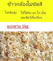 ข้าวกล้องไม่ขัดสี สำหรับไก่ ไก่ชน นกพิราบ นกเขา หนูต่างๆ (แบ่งขาย 1กิโล)