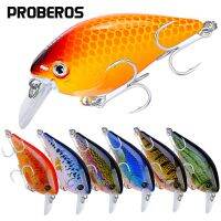 Brand Industrial Printing Luya Bait Realistic 6 Colors 7.6CM-12.7G Little Fat RockLures Baits