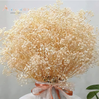 ดอกไม้แห้ง Babys Breath ของขวัญวันวาเลนไทน์ Gypsophile ช่อดอกไม้งานแต่งงานตกแต่ง Garden Party สีสัน DIY Boho Home Decor-GFGNH MALL