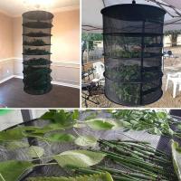 468 Layers Drying Net for Herbs Hanging Mesh Foldable Plants Organizer Dryer Bag Herb Drying Rack tools for herbs and spices