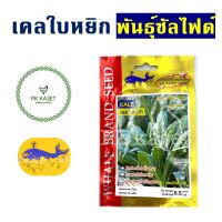 เมล็ดพันธุ์ผัก เคลใบหยิก พันธ์ุซัลไฟด์ ตราปลาวาฬ ซองประหยัด ผักสวนครัว