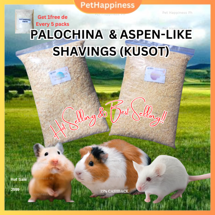 DAILY KUSOT Aspentype & Palochina Wood Bedding for hamster, rabbit, guniea pig & birds Lazada PH