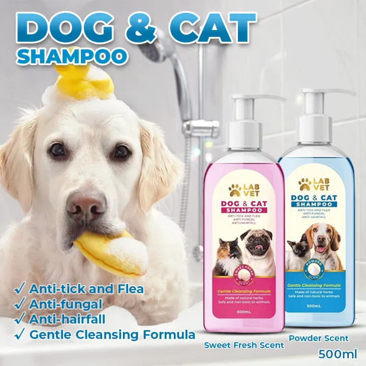 is cat shampoo safe for dogs