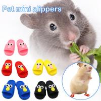 1Pair Mini Pet Slipper Silicone Cartoon Sesame Street Hedgehog Hamster Shoes Pet Slipper O8G2