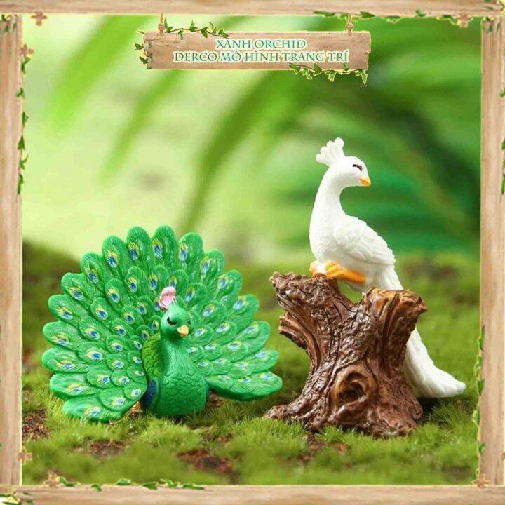 Nuôi cả trại chim công chỉ để... nhổ lông bán Tết