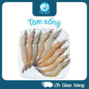 Giao Hỏa Tốc HCM - Tôm Thẻ Sống Tươi Ngon Alo fish