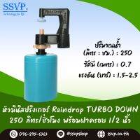 มินิสปริงเกอร์ Rain Drop รุ่น TURBO DOWN พร้อมฝาครอบพีวีซี ขนาด 1/2" ปริมาณน้ำ 250 ลิตร/ชั่วโมง รัศมีการกระจายน้ำ 0.75 เมตร รหัสสินค้า TD-250-CO50