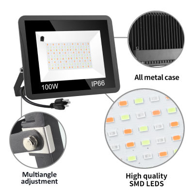 T-SUN 240V 220V 110V LED Floodlight 50W100W RGB Flood Light USEUUK Plug LED Spotlight Outdoor Color Remote Controller IP66