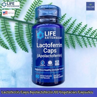 แลคโตเฟอริน Lactoferrin Caps Apolactoferrin 60 Vegetarian Capsules - Life Extension แลคโตเฟอร์ริน