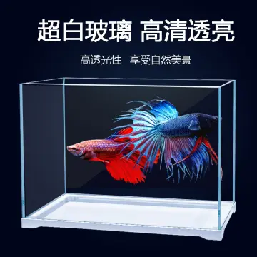 50Cm Fish Tank - Best Price In Singapore - Aug 2023 | Lazada.Sg