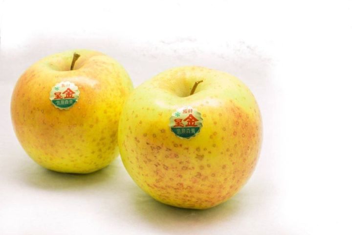 20-เมล็ด-เมล็ดแอปเปิ้ล-สายพันธุ์-แอปเปิล-คินเซย-ของแท้-100-อัตรางอก-70-80-apple-seeds-มีคู่มือปลูก