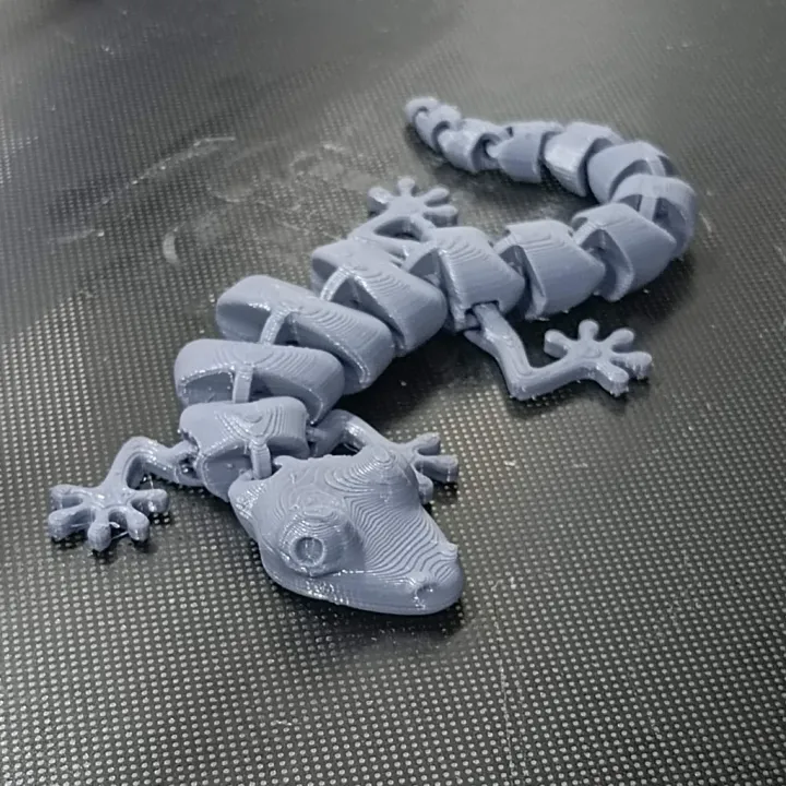 3D Printed Articulated Lizard | Lazada PH