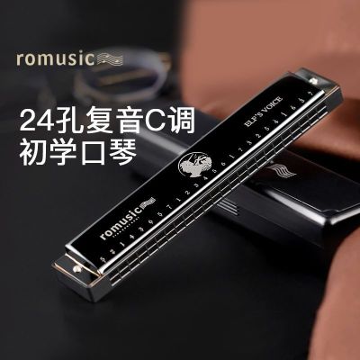 Romusic introduction to adult small instrument 24 hole tremolo children beginners C professional performance
