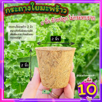 กระถางใยมะพร้าว ( 2 นิ้ว แพ็ค 10 ใบ ) กระถางต้นไม้ กระถางแคคตัส ระบายอากาศได้ดี รากเดินดี กระถางลดโลกร้อน ย่อยสลายได้ตามธรรมชาติ?