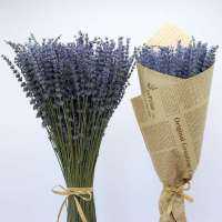 50/100g Lavender ดอกไม้แห้งธรรมชาติพวงสำหรับ Premium Home Decor กลิ่นหอม Aesthetic สำหรับงานแต่งงานวันวาเลนไทน์ตกแต่ง-GFGNH MALL