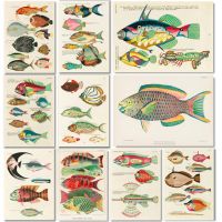 Luyameishop Vintage Freshwater Fish Canvas Art: โปสเตอร์ตกแต่งผนังและพิมพ์สำหรับห้องนั่งเล่น