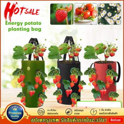 Hanging strawberry planting bag non-woven felt strawberry bare root plant planting container horticultural plant bag