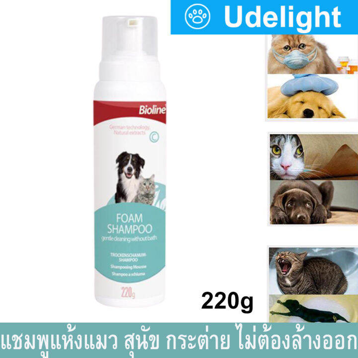 Bioline Foam Shampoo Dry Waterless Shampoo For Pets Dog Cat Rabbit 220g