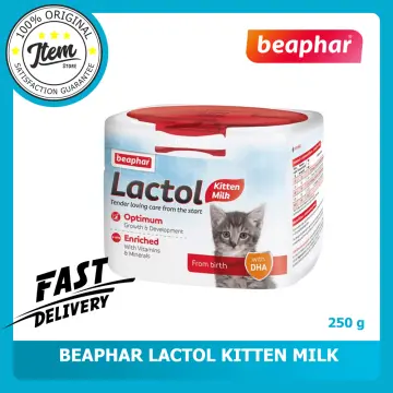 Beaphar lactol hotsell kitten milk powder