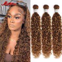 30 Inch P4/27 Water Wave Bundles 10A Highlight Brown Blonde Weave Bundles Hair Malaysia Curly Remy Human Hair Weaving Bundles Hand Tool Parts Accessor