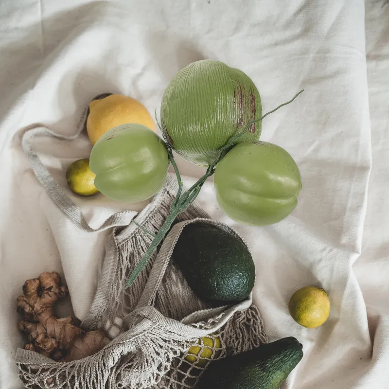 Discover 156+ fake coconuts decoration vova.edu.vn