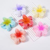 Korea Fashion Hair Clips Gradient Flower Hair Clip Women Girls Sweet Ponytail Hair Claw Shark Hairpin Headwear Hair Accessories