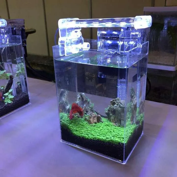 Bể cá cảnh thủy sinh nên lắp đèn LED bể cá D20, trang trí bể cá