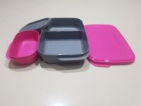 Tupperware กล่องข้าวบัดดี้