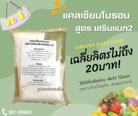 แคลเซียมโบรอน สูตรเสริมแม็กนีเซียม2 "ขั้วเหนียว ใบเขียวสด บำรุงผล " หัวเชื้อ 20ลิตร.