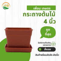 กระถางเหลี่ยม กระถางต้นไม้พลาสติก กระทางต้นไม้ 4 นิ้ว จัตุรัส กระถาง 4 เหลี่ยม สีอิฐ จานรอง