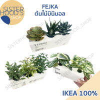 IKEA - FEJKA ไม้ประดิษฐ์ในกระถาง ต้นไม้ปลอม สไตล์มินิมอล ใช้ตกแต่งบ้านได้ ชุดละ 3 ชิ้น มีหลายแบบให้เเลือก จาก อิเกีย