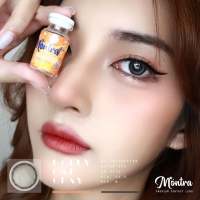 ⚡️ มีค่าสายตา ⚡️ลายดังTiktok คอนแทคเลนส์ Montra Lens มนตรา Holly cat Eve Gray Brown แถมตลับ แบบบิ๊กอายตาโต สายตาปกติ และ ค่าสายตาสั้น 0.00-10.00 แถมตลับส่งฟรี !!