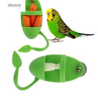 SHENY Conure Macaws ที่ใส่อาหารชามอาหารนกที่วางผักผลไม้มีแท่นไม้สำหรับให้นกแก้วเกาะตัวป้อนนกแก้ว