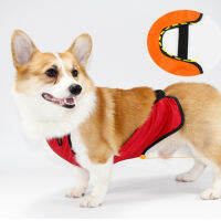 ปกป้อง Corgi Tummy ผ้ากันเปื้อนกันน้ำสัตว์เลี้ยงสุนัขเสื้อผ้าสำหรับสุนัขขาสั้นขนาดเล็กเสื้อผ้าสัตว์เลี้ยงภาษาฝรั่งเศส Bulldog Pug เครื่องแต่งกาย SL-kjhkhjlk