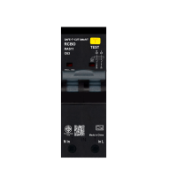 SAFE-T-CUT SMART : RAS11 RCBO 2 POLE (ควบคุมกระแสไฟเกินทั้งขั้วLและN)