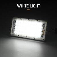 Floodlight Outdoor Spotlight 50W Wall Washer Garden Lamp Reflector IP65 12V