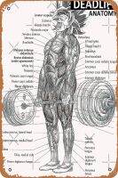 แผนภูมิกล้ามเนื้อ KASDBOPA Deadlift-กายวิภาคศาสตร์อะนิเมะโปสเตอร์บันดาลใจยิมขนาด8X12นิ้วป้ายโลหะวินเทจย้อนยุคที่บ้านศิลปะมนุษย์ถ้ำ