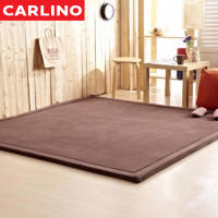 MR. CARLINO: TATAMI พรม พรมปู พรมปูหน้าโซฟา พรมมีขน คุณภาพดี  (มี 3 ขนาด ) Home &amp; Living Japanese Design Floor Tatami - Mattress - Carpet