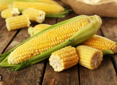 ข้าวโพดหวาน จัมโบ้สวีท🌽 Sweet Corn Jumbo Seed🌽 เมล็ดพันธู์ข้าวโพด บรรจุ 10 เมล็ด  10 บาท