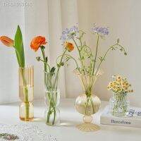 ▩۩☋ Transparent Flower Vase Nordic Decorative Vase Hydroponic Plant Holder Creative Aromatherapy Bottle Container Home Decor 꽃병