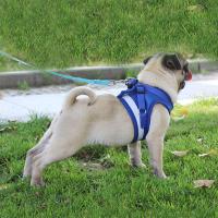 1pcs Breathable Dog Harness Polyester Mesh Vest Leash Pet Chest Strap Rope Cat Dog Adjustable Harness Vest Chest Strap Rope
