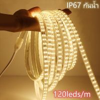 220V ไฟ LED Strip แถบไฟกันน้ำ ไฟนางฟ้า ไฟในห้อง แถบไฟสองแถวที่ยืดหยุ่นได้ Bluetooth รีโมท ตกแต่งคริสต์มาส สีขาวนวล/สีขาวนวล SMD 2835 120Leds/m 10/15/20/30m