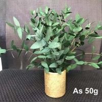 【cw】10~30CM50g Real Preserved Flowers Eucalyptus Bundle,DIY Eternell Leaves Flower Eucalyptus Garland,Home Decor,Wedding