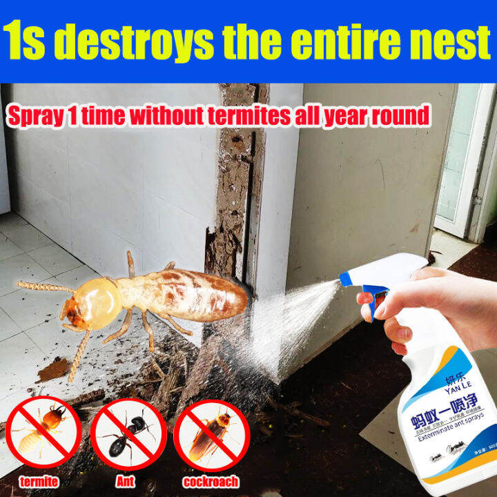 ⚡️1s destroys the entire nest ⚡️termites killer spray 500ml ,Spray 1