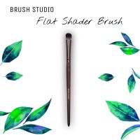 BRUSH STUDIO Tropical : Flat Shader Brush แปรงลงสีอายแชโดว