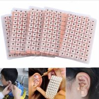 1 Bag Auriculotherapy Ear Weight Loss Seed Kit- 600 Vaccaria Ear Seeds Earseeds Headache and Migraines Ear ​Seed Kit Ear Massag