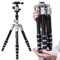 K&amp;F TRIPOD Monopod TM2235 II ขาตั้ง KF09.045