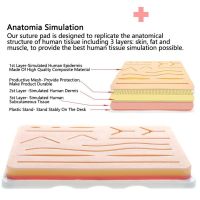 โมเดลการศึกษาฝึกบาดแผลจำลองใช้ซ้ำได้แผ่นซิลิโคนชุดเย็บแผลสำหรับฝึกเย็บแผลบนผิว